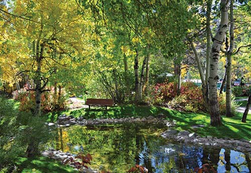 Olympic Village Inn Outdoor Pond