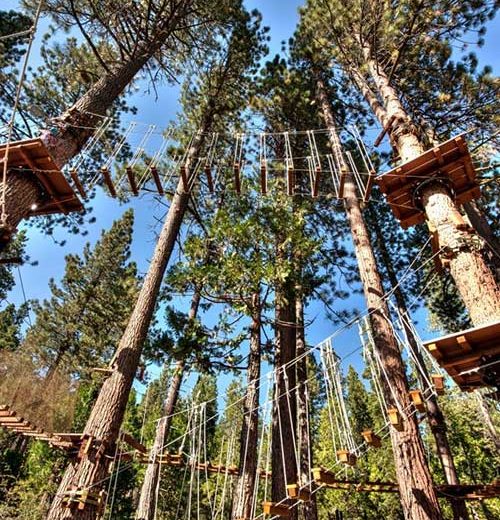 Treetop adventure park rope walkway in Lake Tahoe