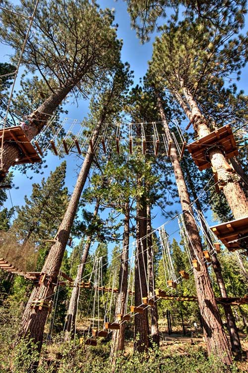 Treetop adventure park rope walkway in Lake Tahoe