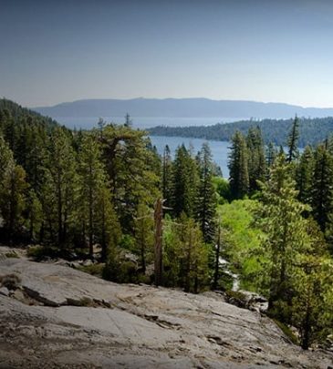 Public Lands Operational Update due to Closures