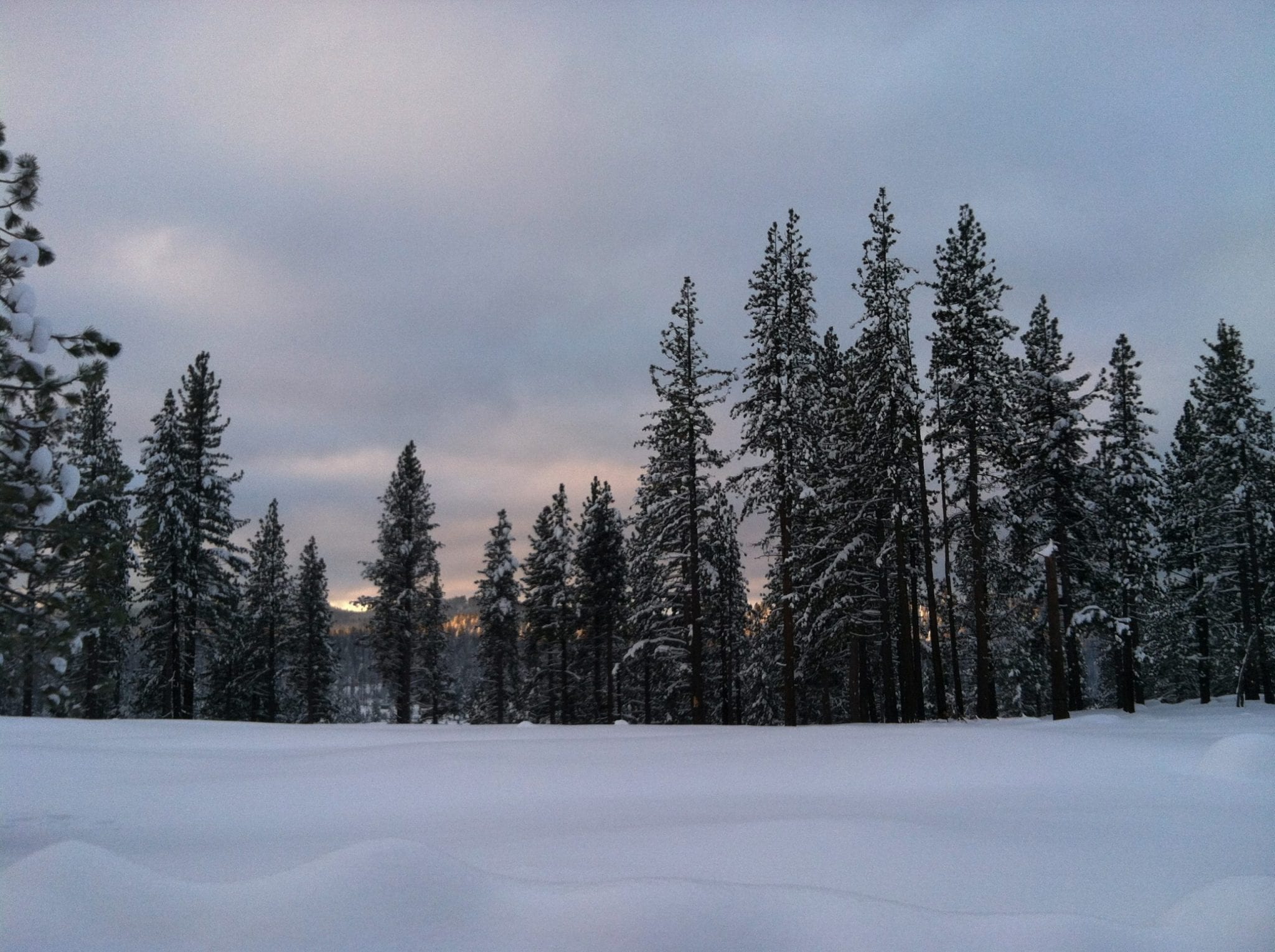 Full Moon Snowshoe Tour Go Tahoe North