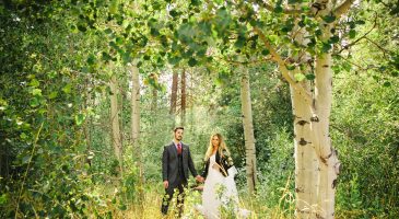 Aspen Grove