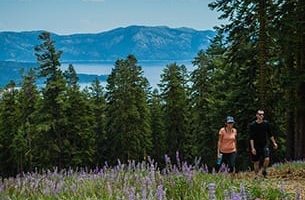 Guided Segment Hike Registration