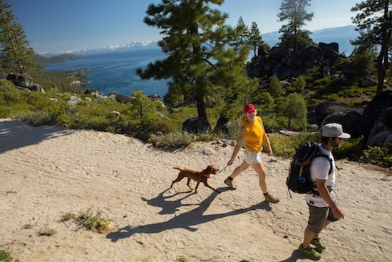 Guide To Must Love Dogs Tahoe Go
