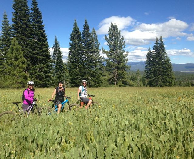 Truckee