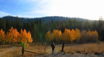 Discover North Lake Tahoe’s Secret Season with 4 Local Secrets