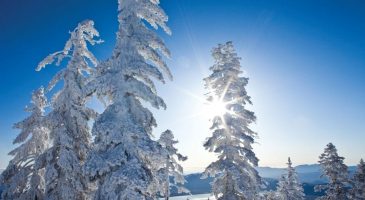 Snow Camping 101