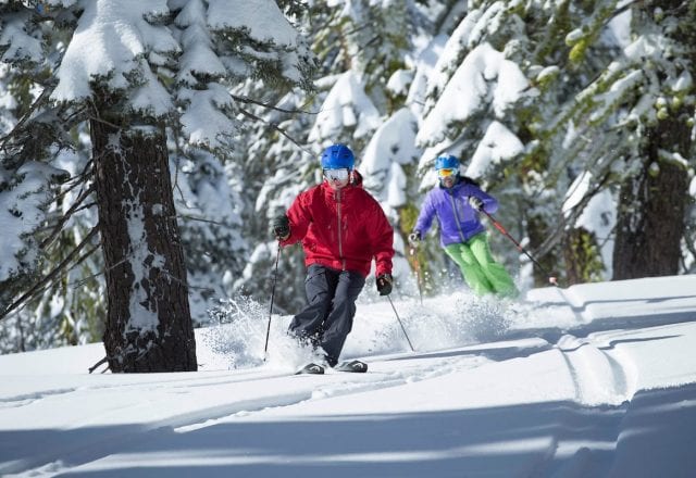 Alpine Meadows Tree Skiing