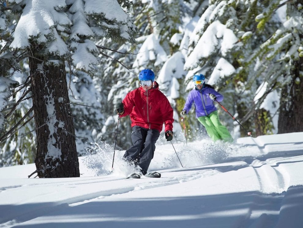 Alpine Meadows Tree Skiing