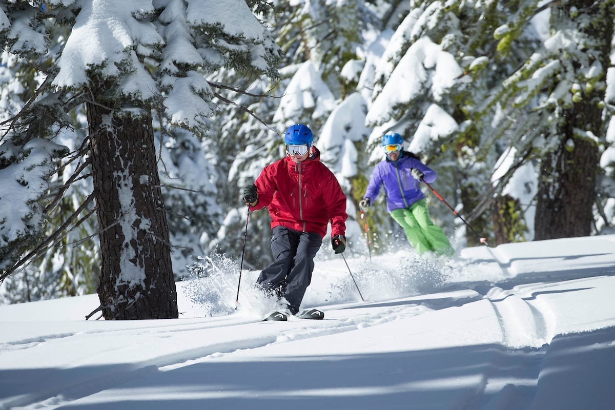 Alpine Meadows Tree Skiing