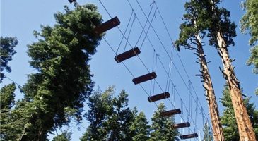 High-Flying Tahoe Adventures