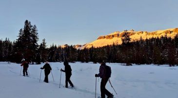 Sunset Snowshoe Tours-Check for Cancellations