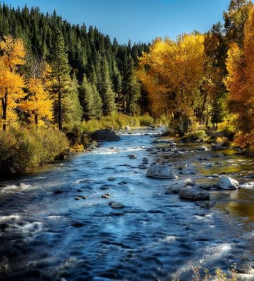 What’s New in North Lake Tahoe Fall 2023