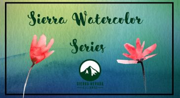 Virtual ~ Sierra Watercolor Series