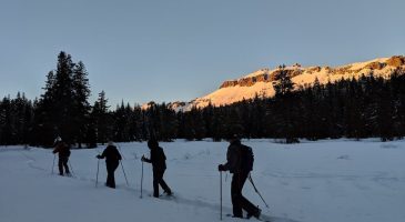 Full Moon Snowshoe Tour