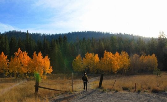What's Trending - WORK FROM NATURE MID-WEEK