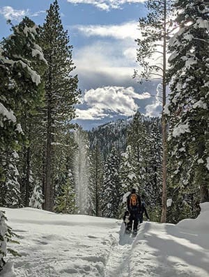 Snowshoe Tahoe adventure with dog