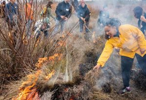 Lake Tahoe events: Science Speaks Series: Rethinking Fire: Cultural Bur...