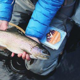 Fishing Lake Tahoe