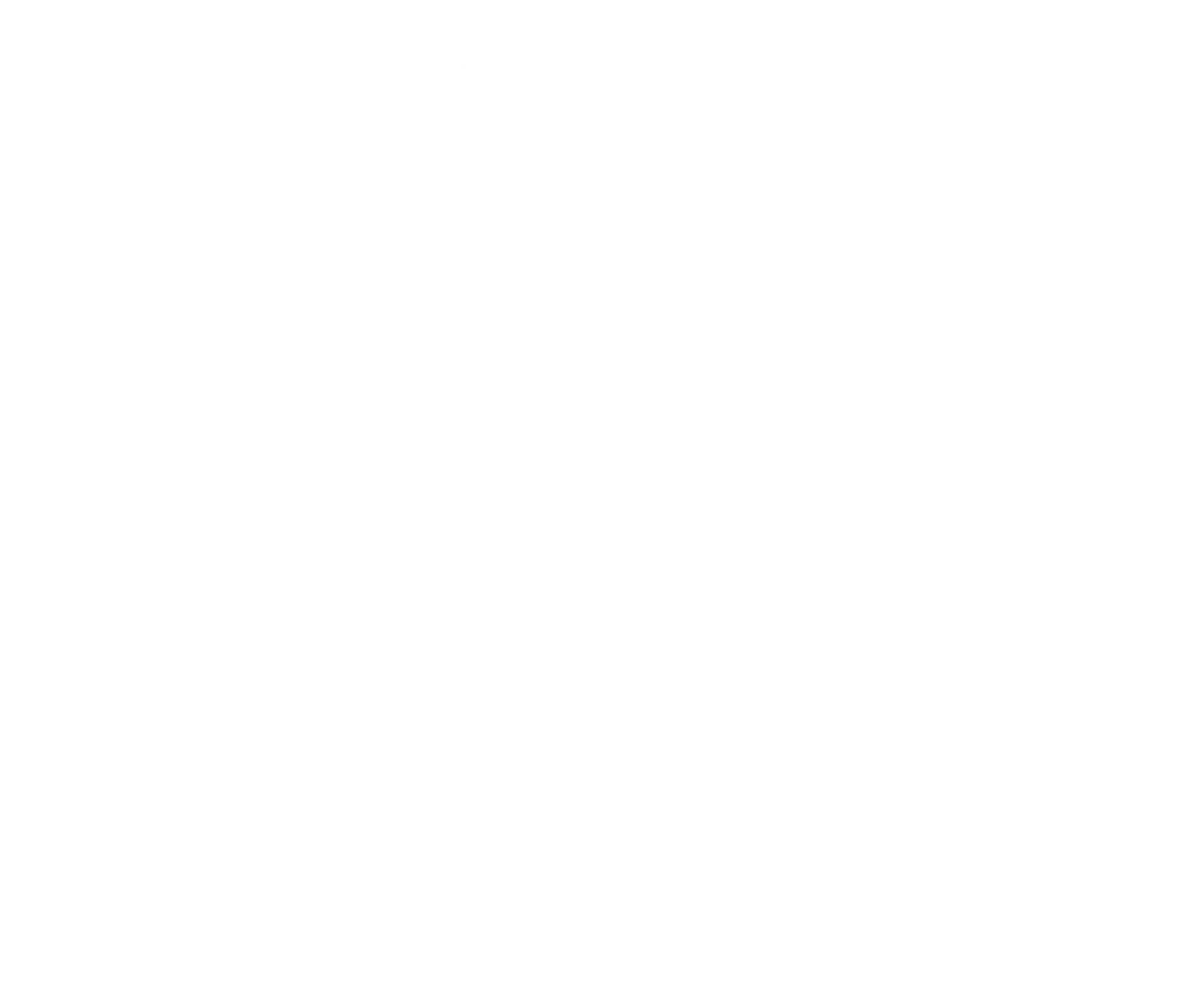 North Tahoe Community Alliance Logo White Transparent