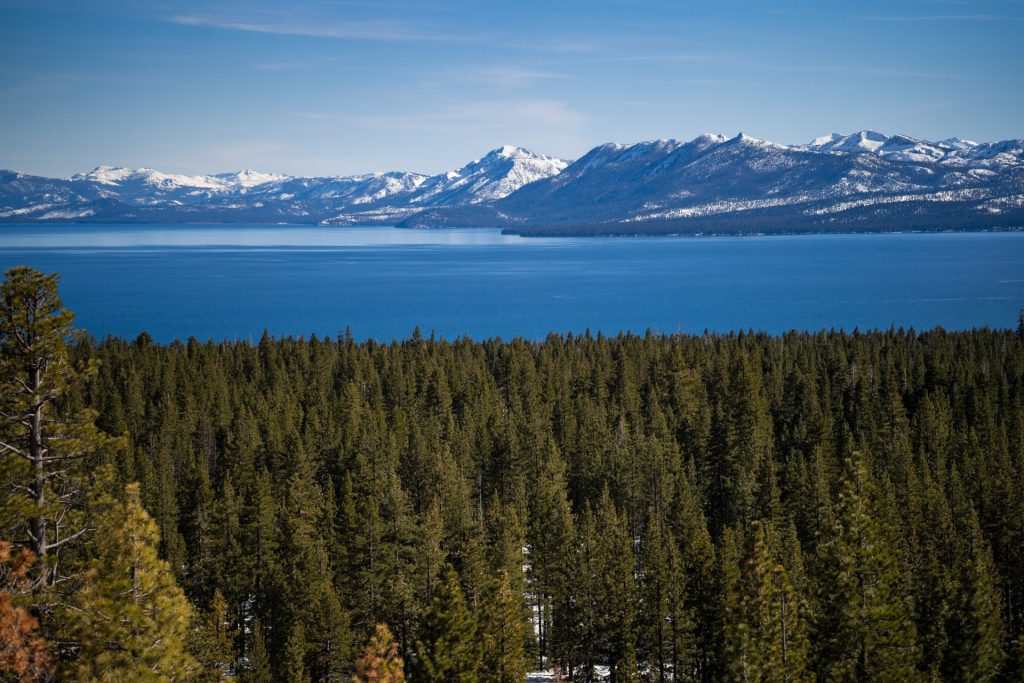 Spring North Lake Tahoe