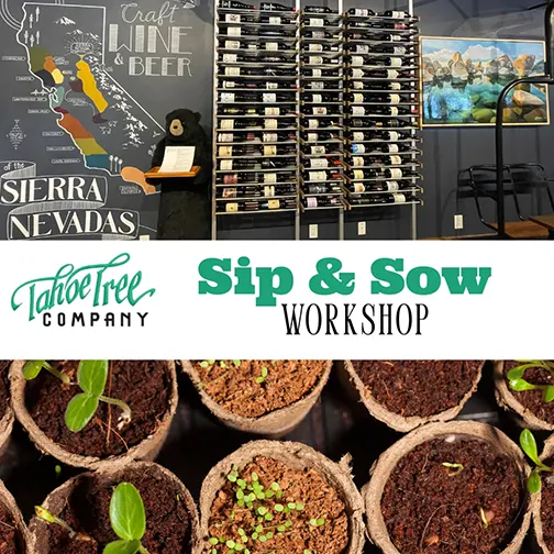 Sip and Sow