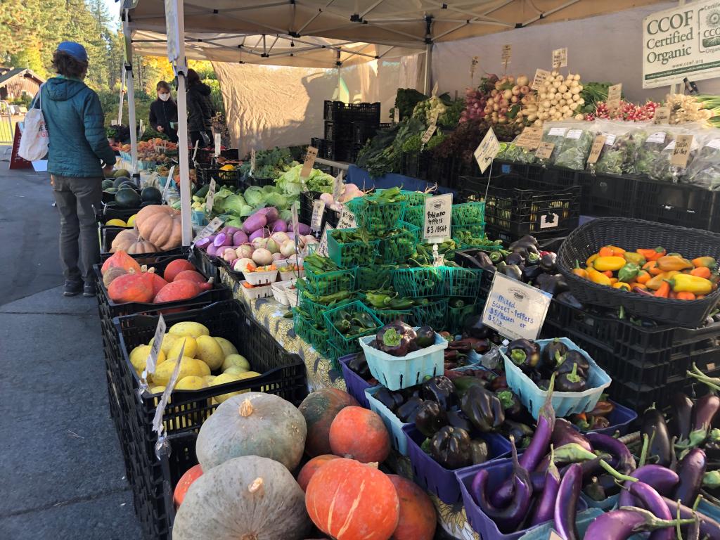 Tahoe City Farmer's Market 2025