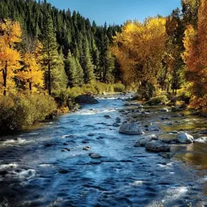 Truckee River in the Fall